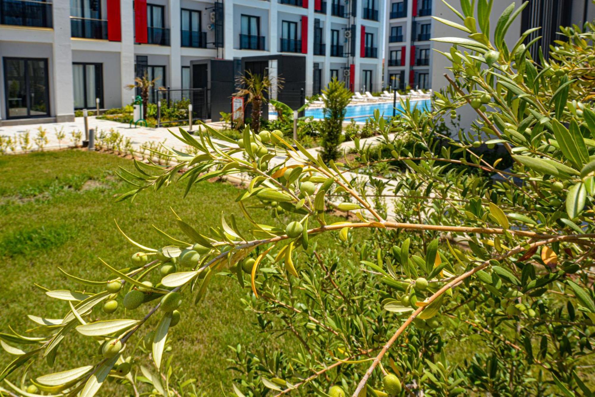 C Suites Antalia Airport Buitenkant foto